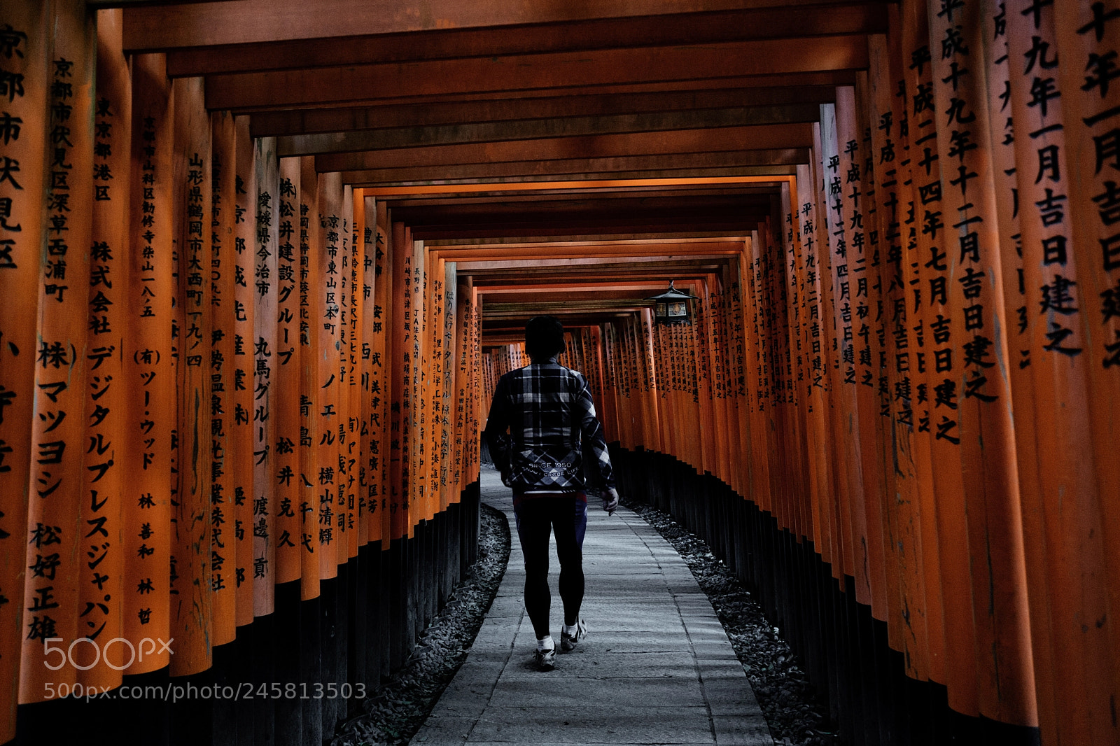 Fujifilm X-T10 sample photo. Fushimi inari photography