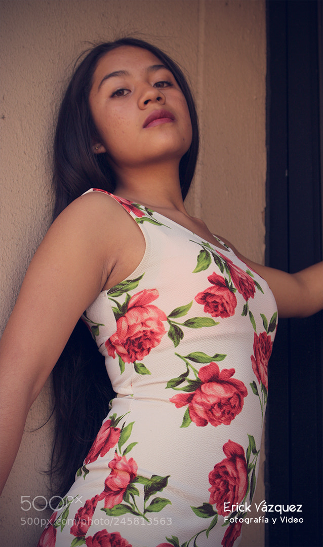 Canon EOS 700D (EOS Rebel T5i / EOS Kiss X7i) sample photo. Sol photography