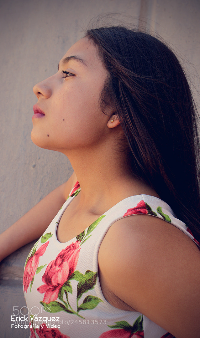 Canon EOS 700D (EOS Rebel T5i / EOS Kiss X7i) sample photo. Sol photography