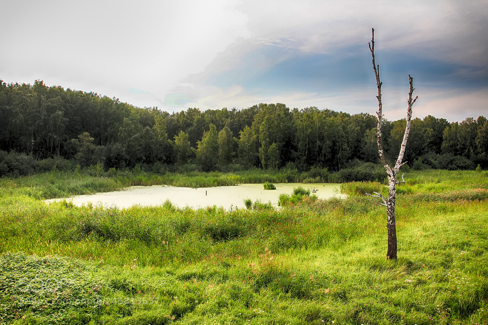 Canon EOS 60D sample photo. Y photography