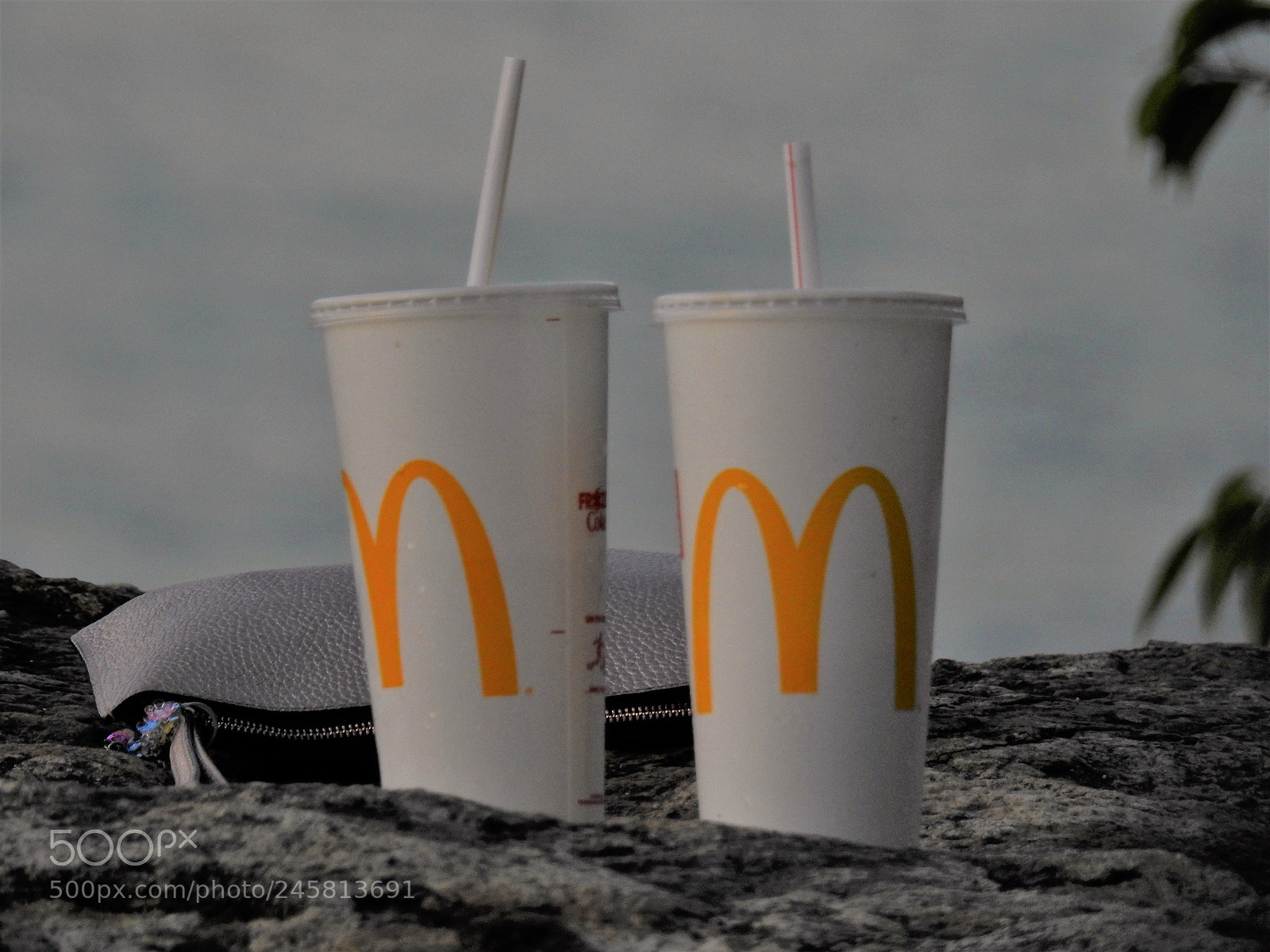 Nikon Coolpix P900 sample photo. Mcdonalds cups photography