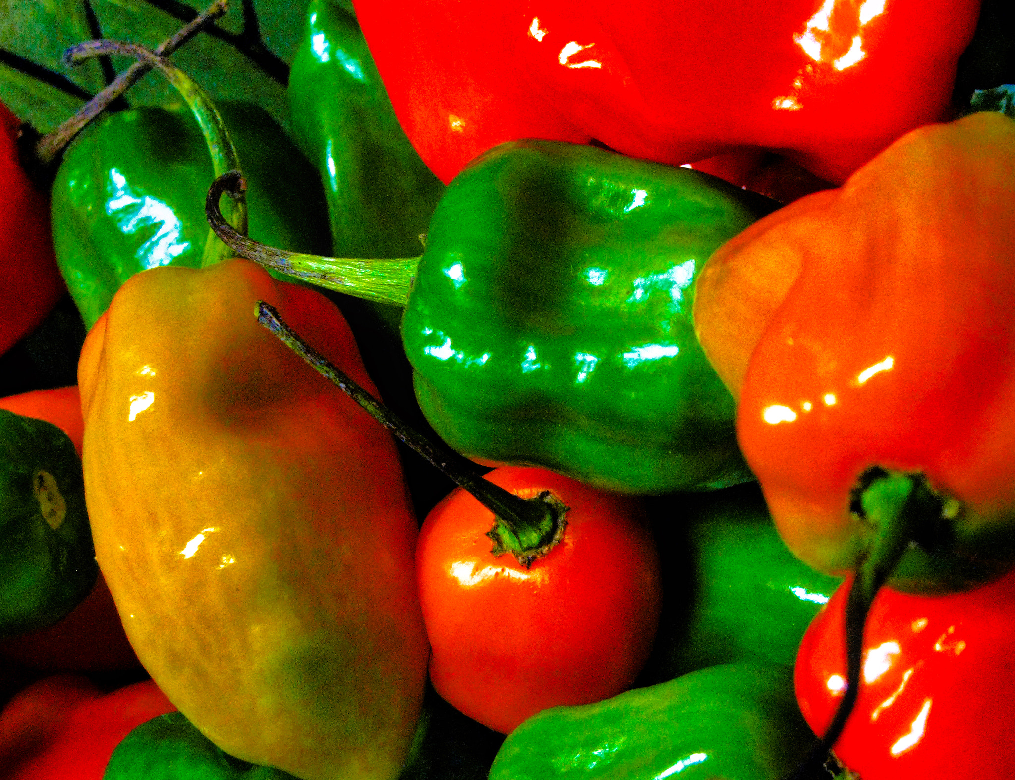 Canon POWERSHOT SX100 IS sample photo. Habanero peppers photography