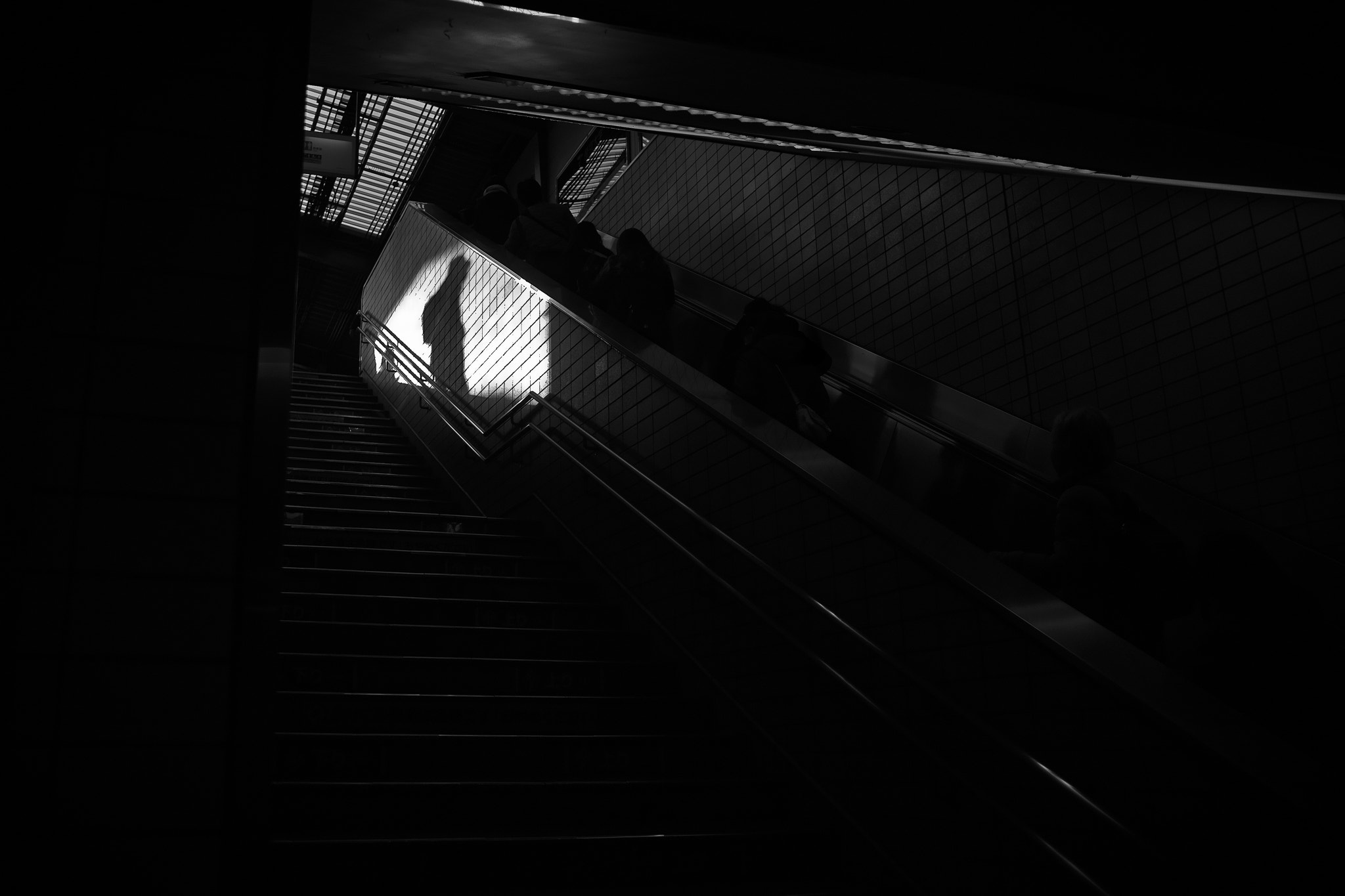 Sigma DP1 Merrill sample photo
