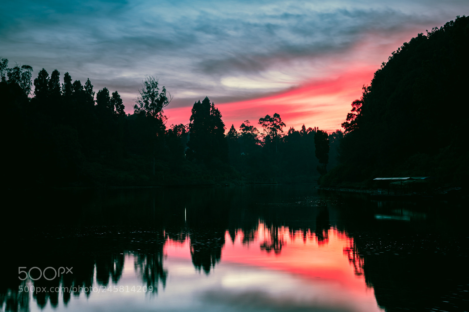 Nikon D5500 sample photo. Water mirror photography