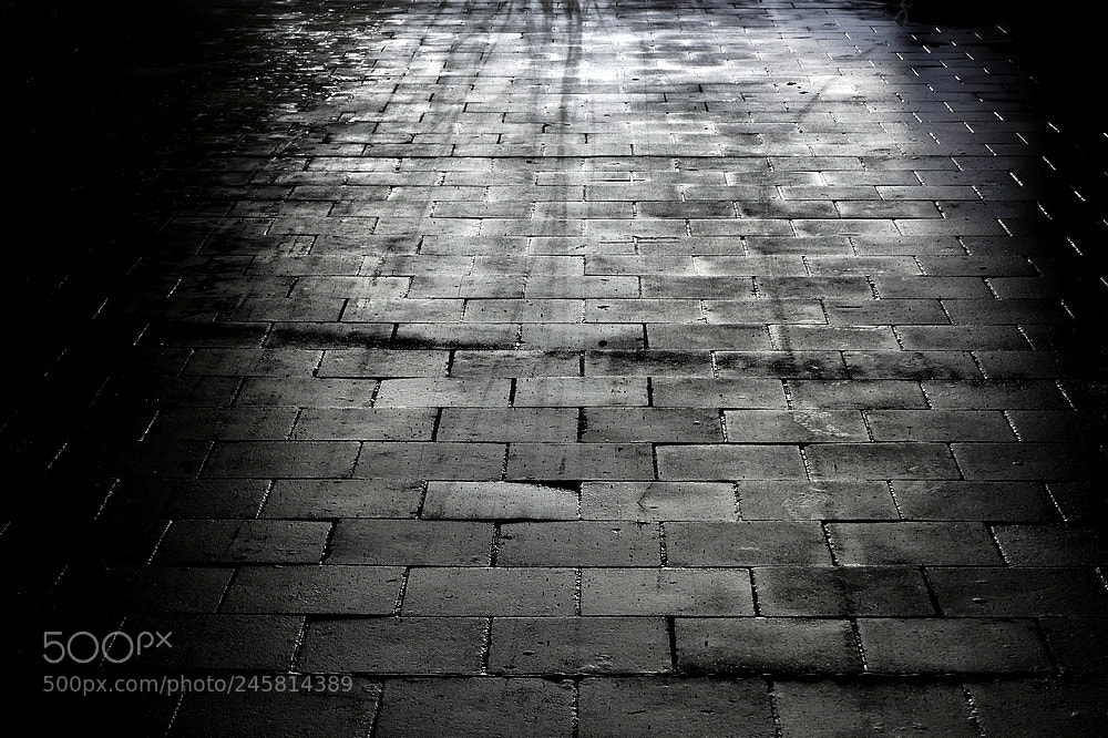 Panasonic Lumix DMC-FZ300 sample photo. Dark corner photography