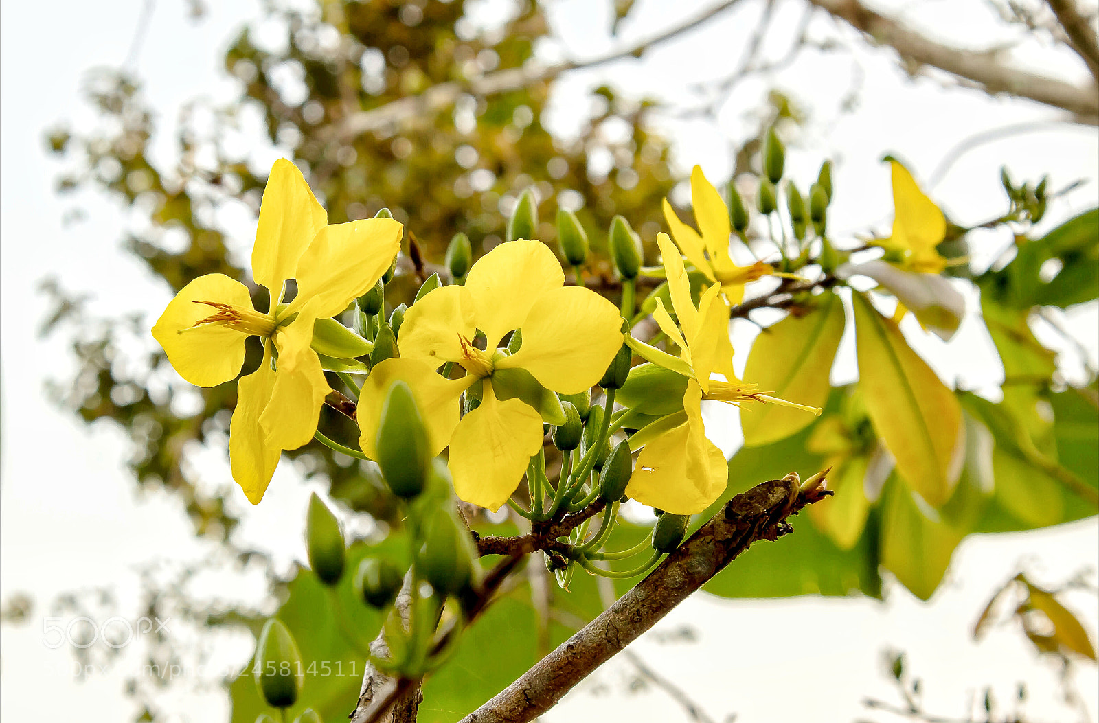 Canon EOS M10 sample photo. Untitled photography