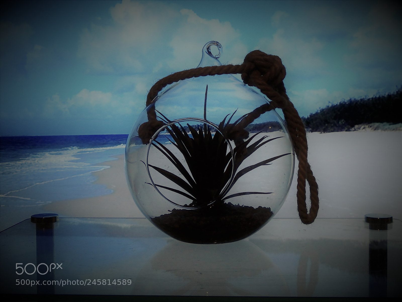 Olympus SP-100EE sample photo. Still life dreaming photography