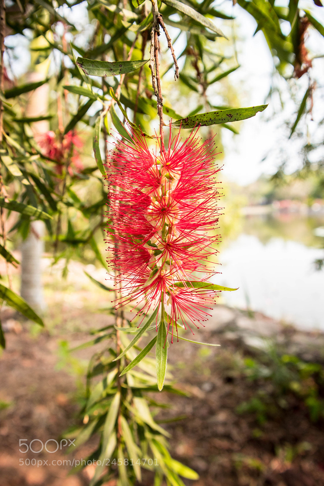 Canon EOS M10 sample photo. Untitled photography