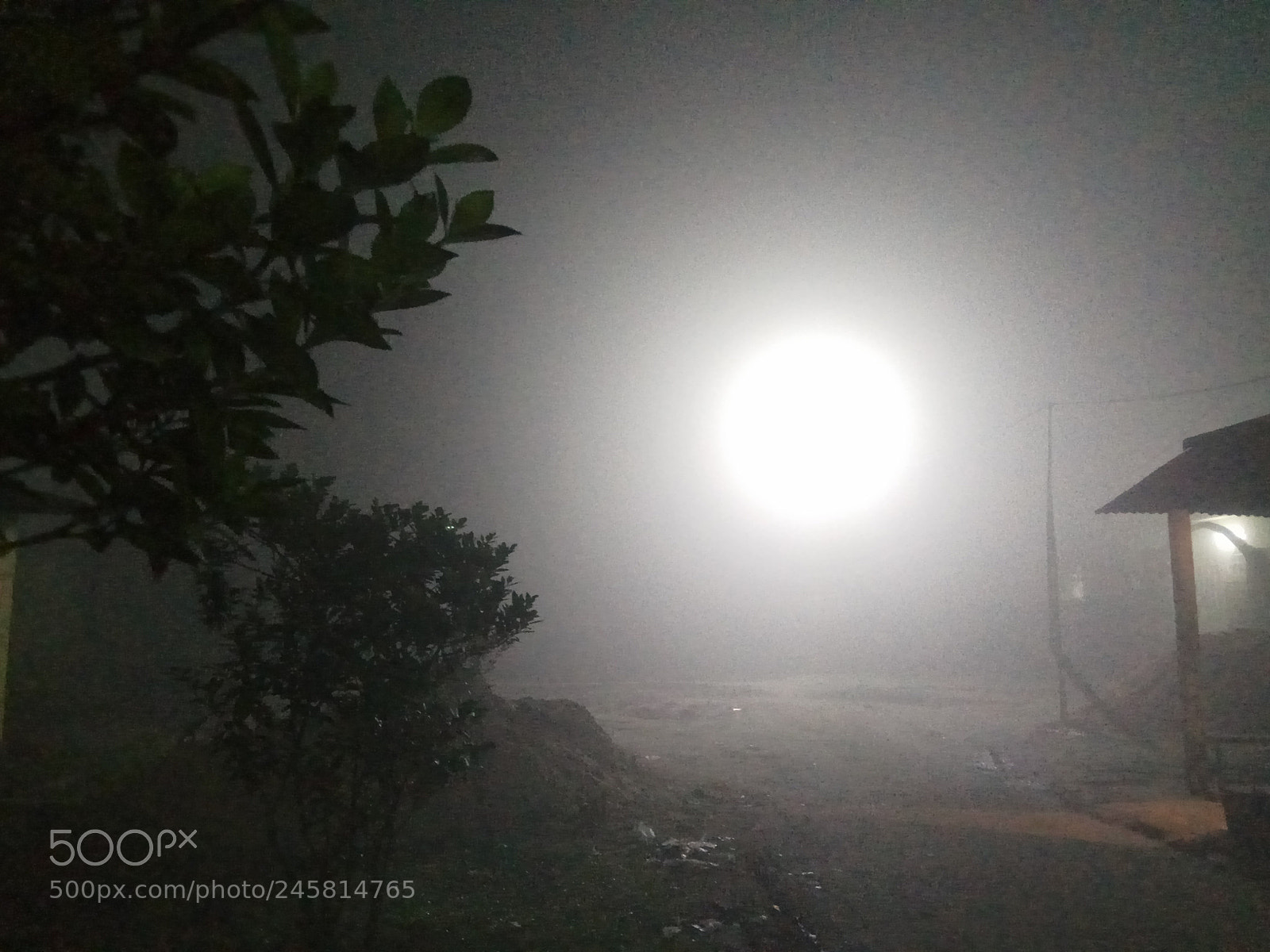 Xiaomi Redmi Note 4 sample photo. Untitled photography