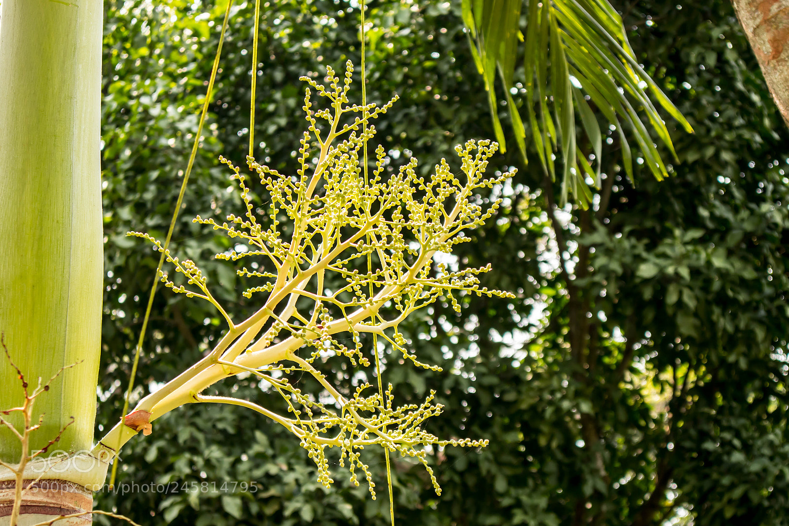 Canon EOS M10 sample photo. Untitled photography