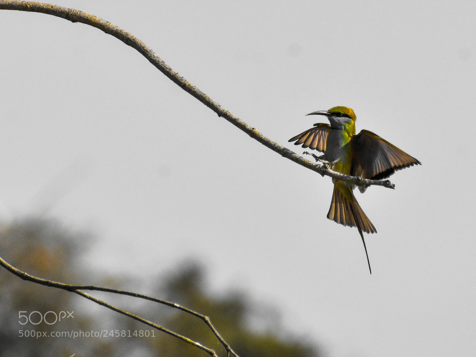 Nikon D3400 sample photo. Landing... photography