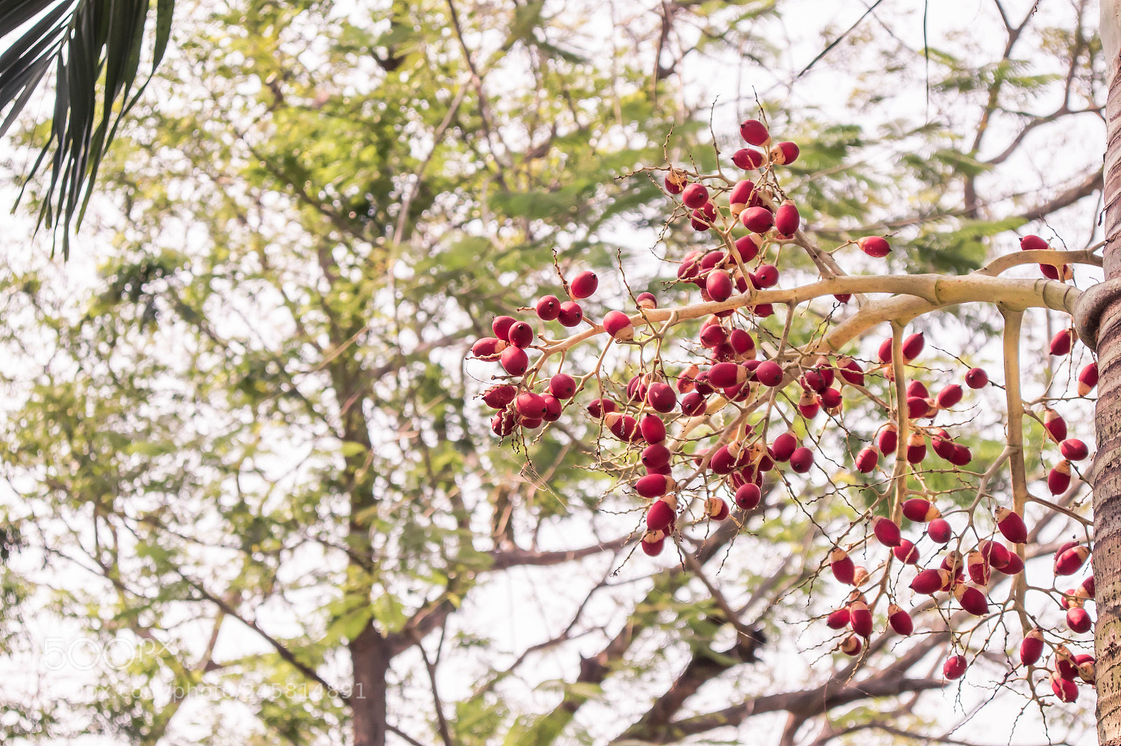 Canon EOS M10 sample photo. Untitled photography