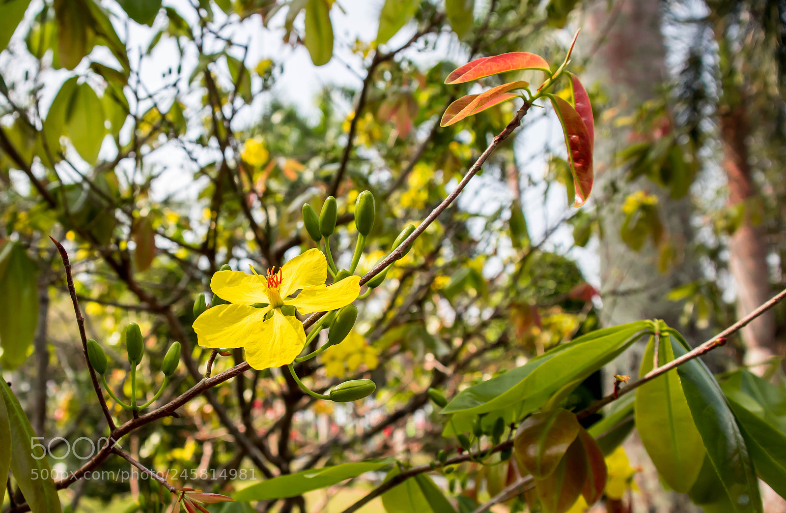 Canon EOS M10 sample photo. Untitled photography