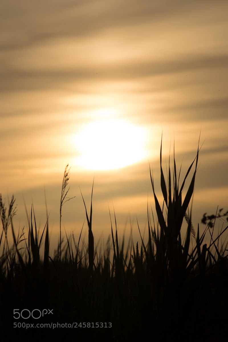 Nikon D3100 sample photo. Sunset photography