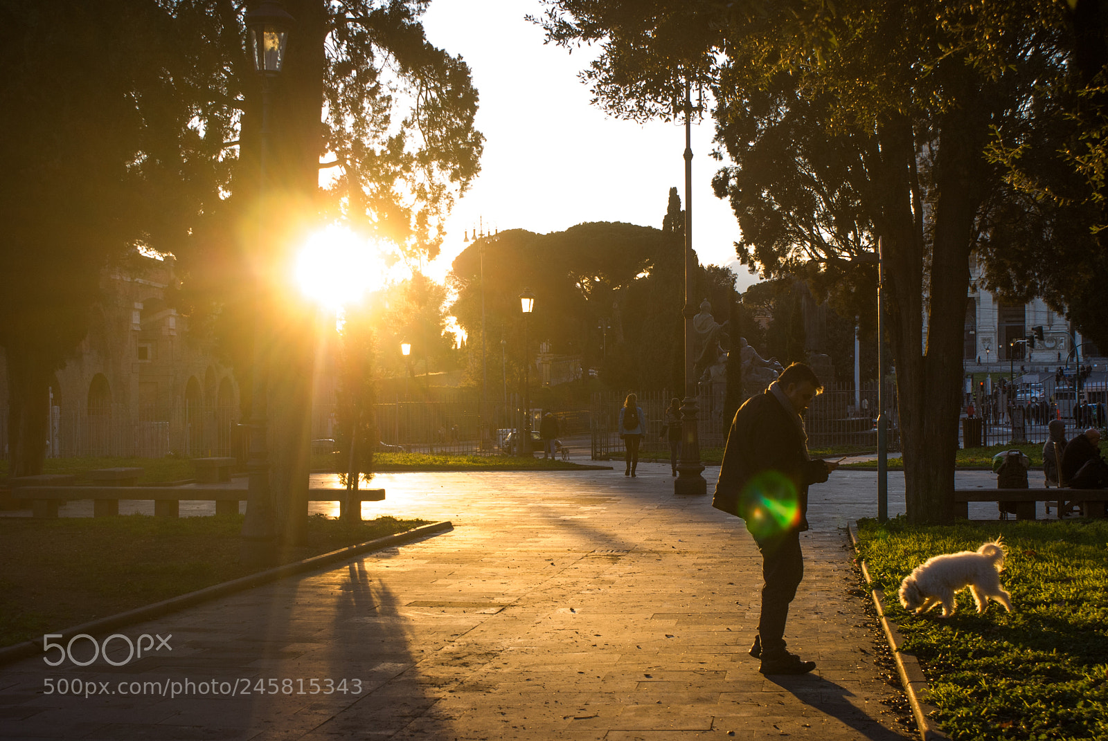 Sony Alpha DSLR-A300 sample photo. Boken afternoon photography