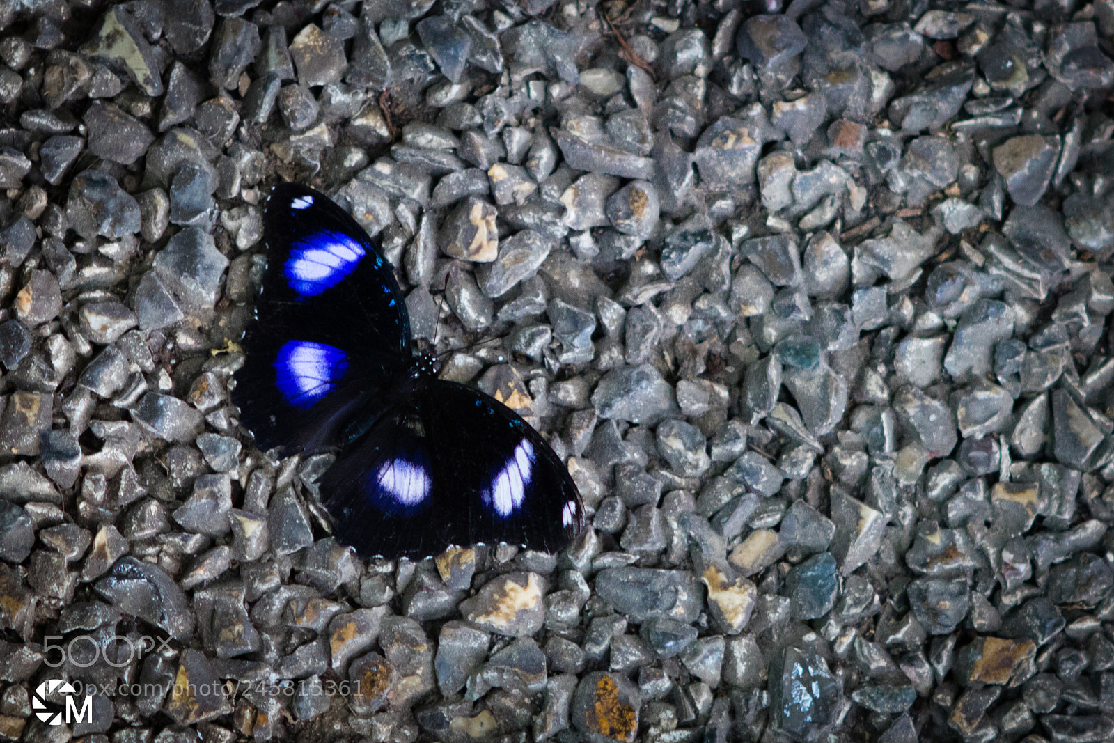 Canon EOS 760D (EOS Rebel T6s / EOS 8000D) sample photo. Soul and stone photography