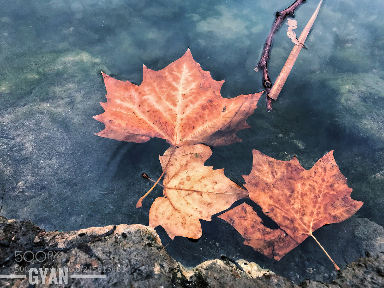 Apple iPhone 7 sample photo. Don t just exist photography