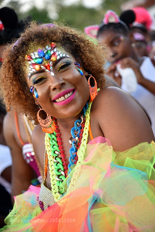 Nikon AF-S Nikkor 24-120mm F4G ED VR sample photo. Carnaval photography