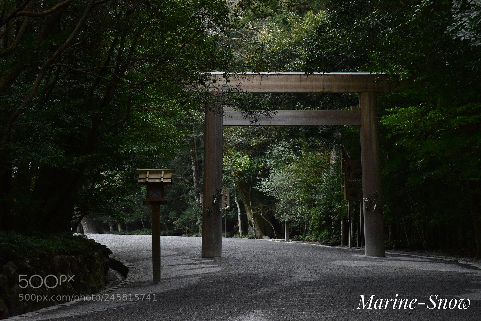 Nikon D7200 sample photo. Ise jingu (shinto shrine) photography