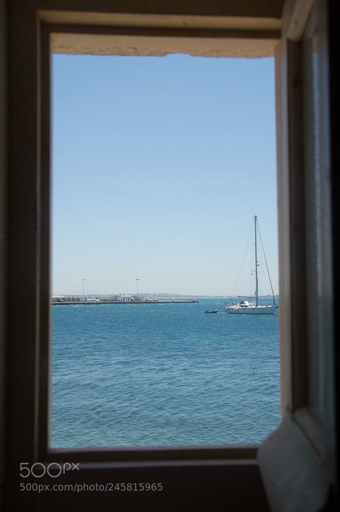 Nikon D3200 sample photo. Untitled photography
