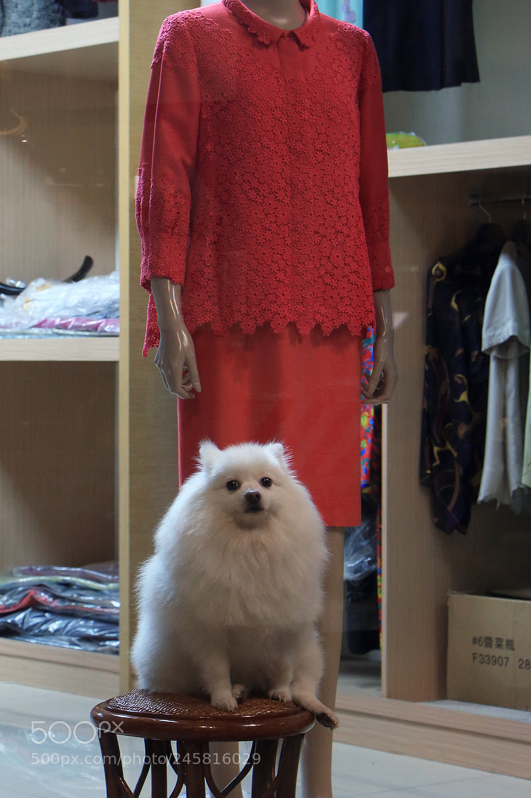 Canon EOS 650D (EOS Rebel T4i / EOS Kiss X6i) sample photo. #behind_faces photography