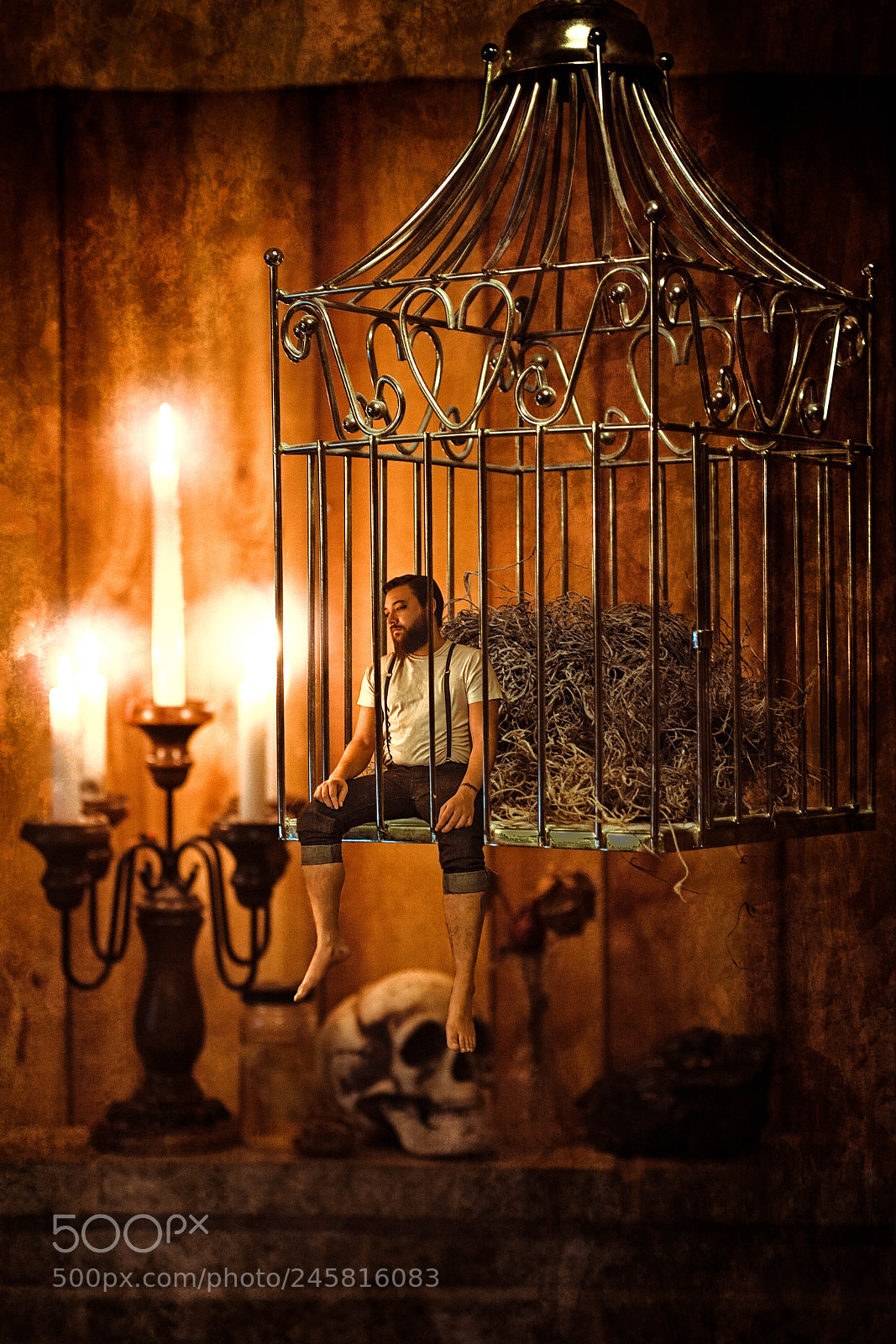 Nikon D5200 sample photo. Caged photography