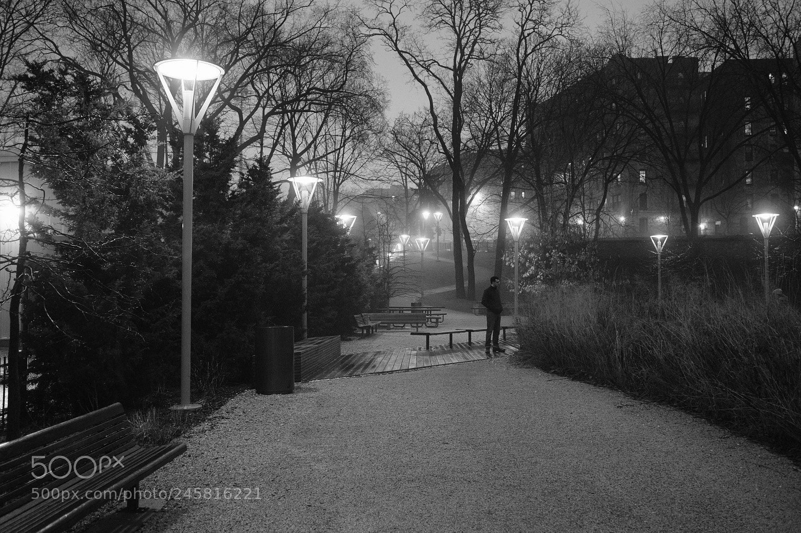 Fujifilm X-T2 sample photo. Lamps in inwood park photography