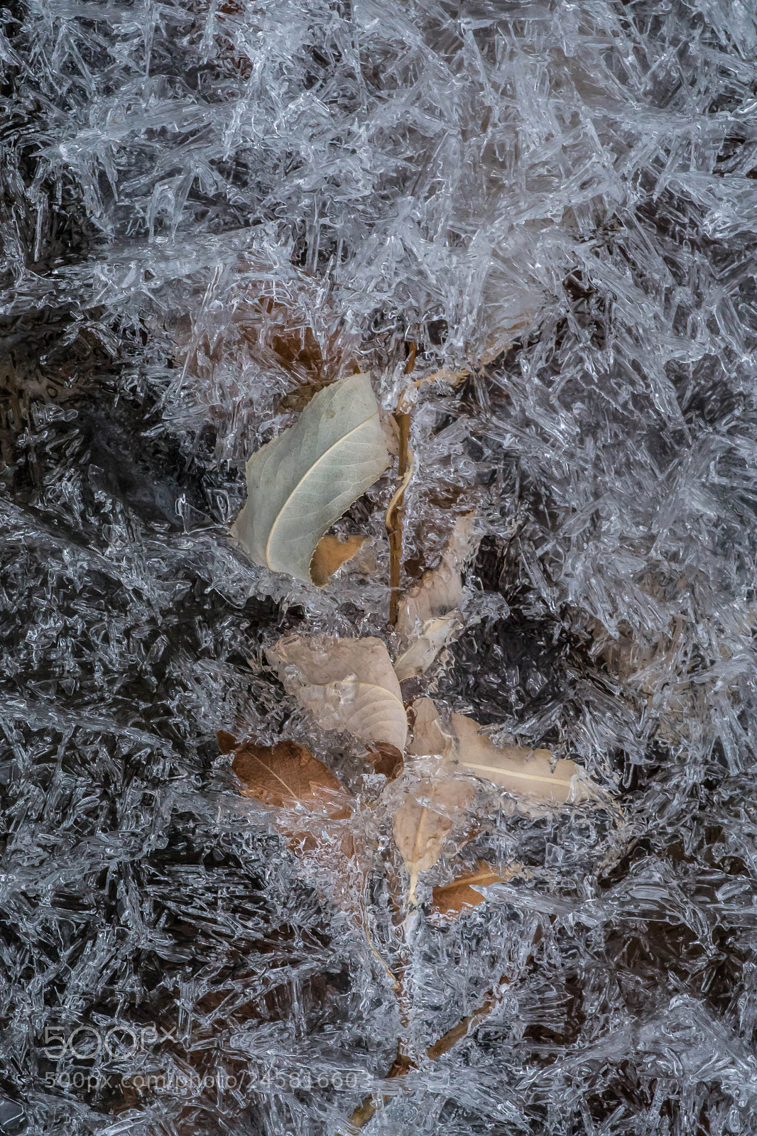 Sony ILCA-77M2 sample photo. Icescapes - winter ice # 3 photography