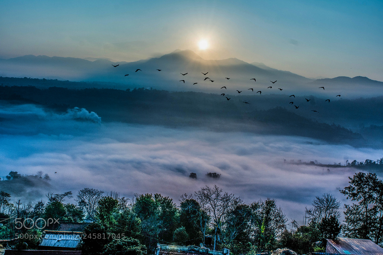 Nikon D5200 sample photo. Morning vives photography