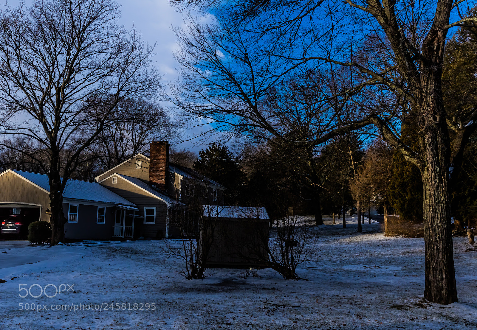 Canon EOS 750D (EOS Rebel T6i / EOS Kiss X8i) sample photo. Backyard on a winter photography
