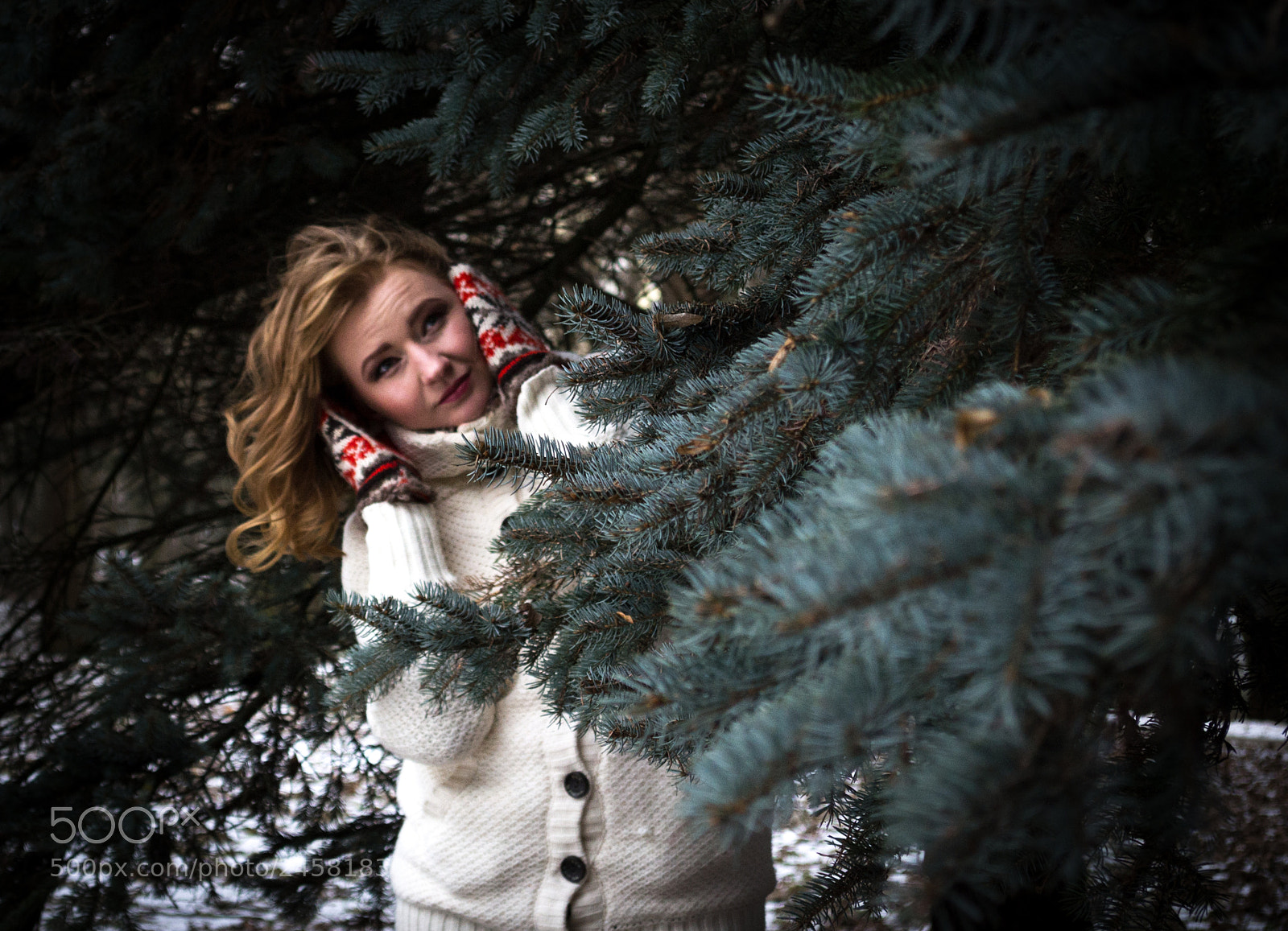 Nikon D3100 sample photo. Untitled photography