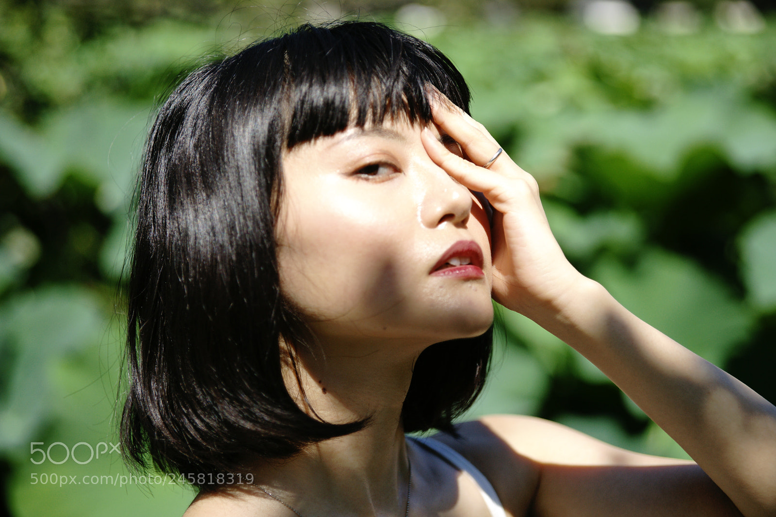 Sony Alpha DSLR-A900 sample photo. 17 photography