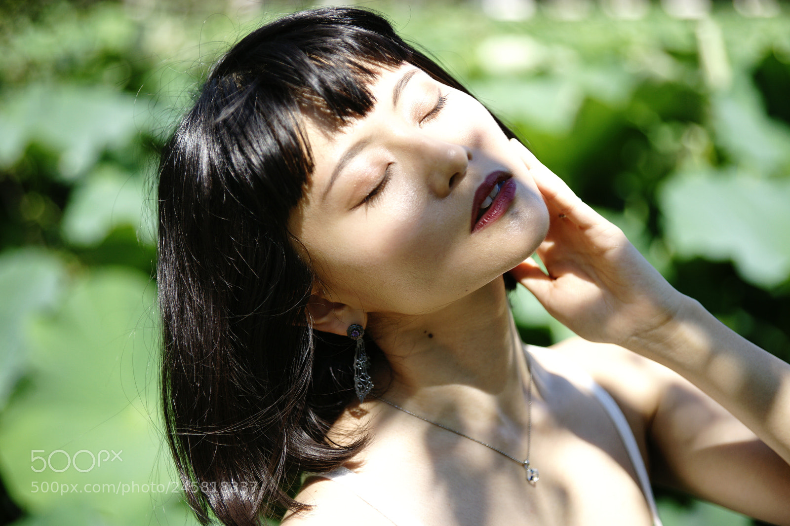 Sony Alpha DSLR-A900 sample photo. 19 photography