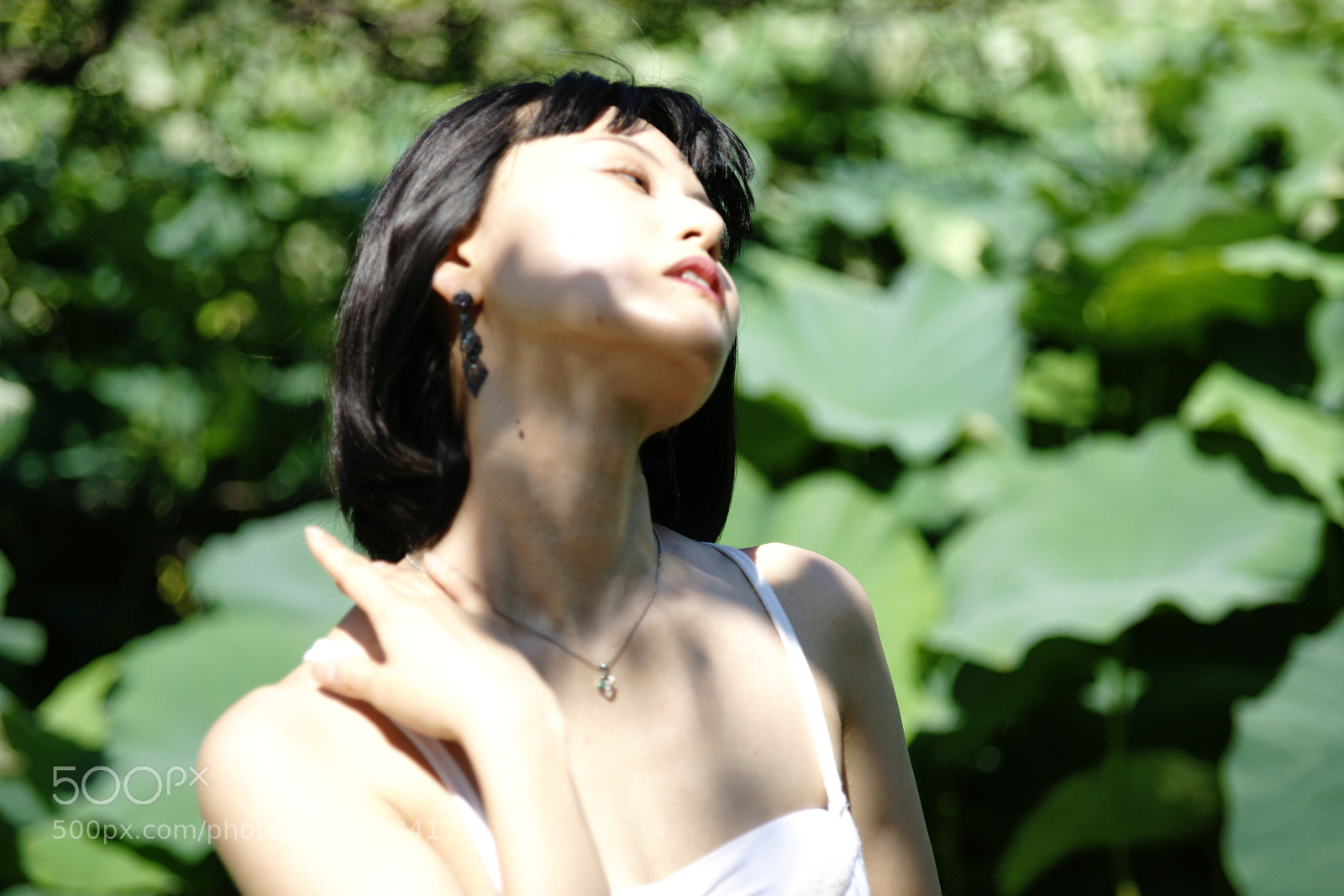 Sony Alpha DSLR-A900 sample photo. 20 photography