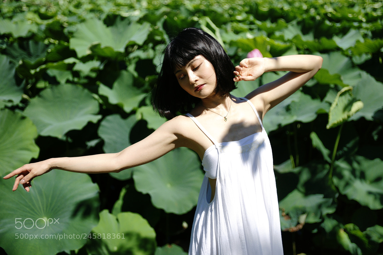 Sony Alpha DSLR-A900 sample photo. 21 photography
