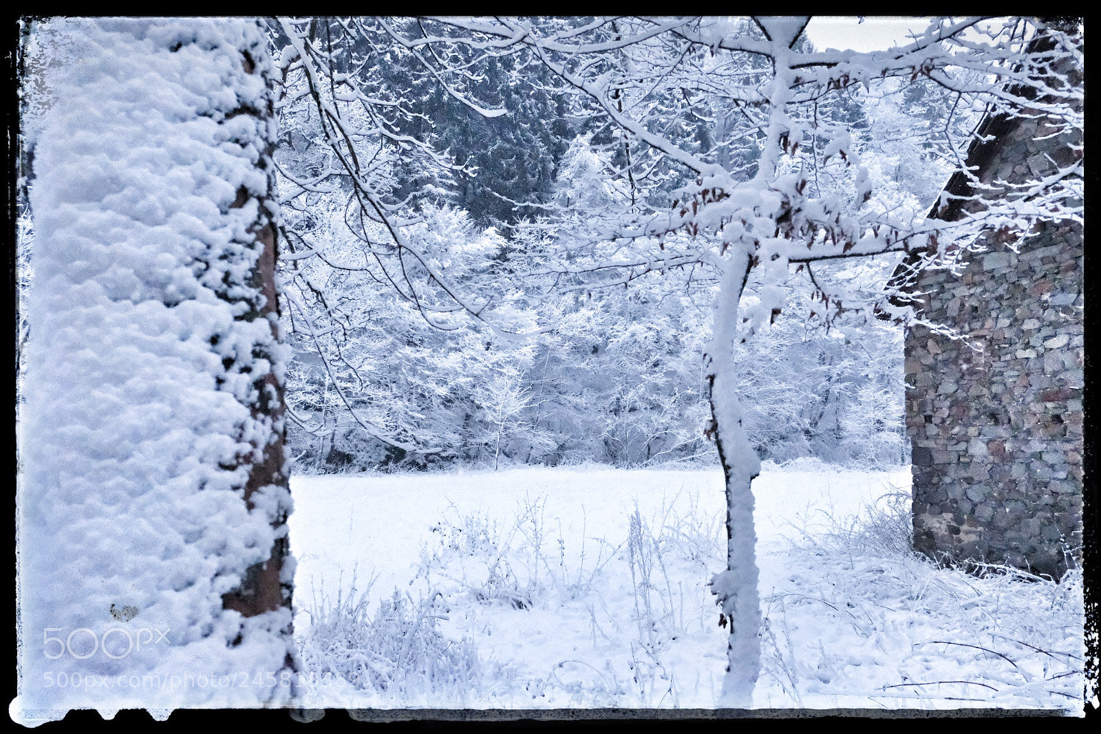 Fujifilm X-Pro2 sample photo. Snowy morning photography