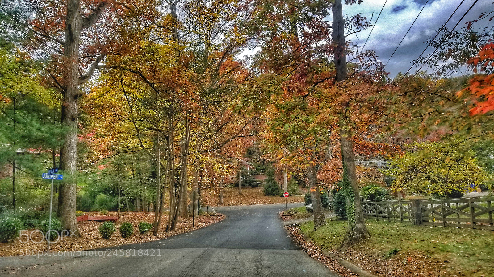 Samsung Galaxy S8 sample photo. Art of fall photography