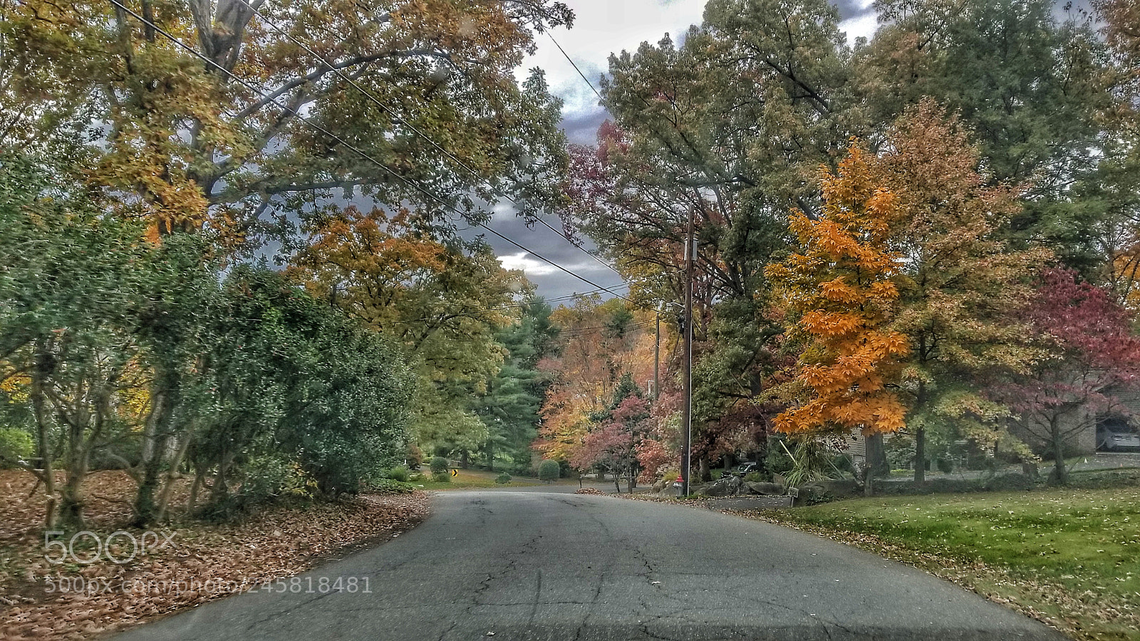Samsung Galaxy S8 sample photo. Art of fall photography