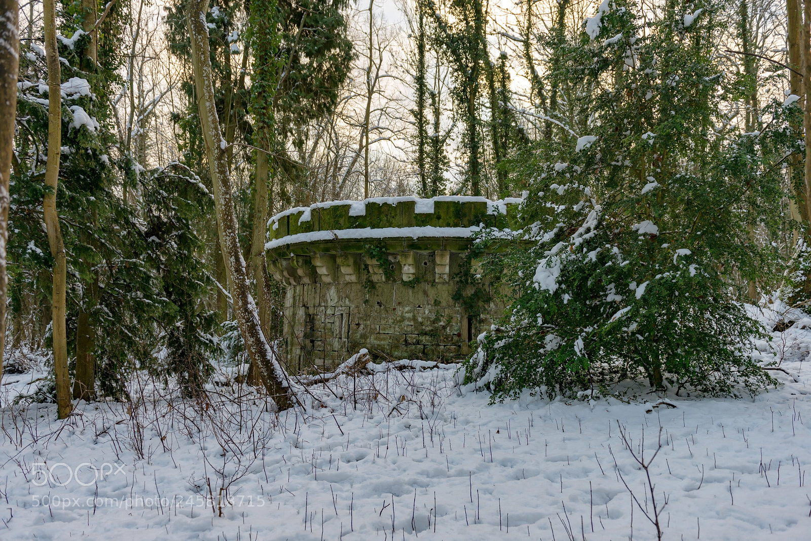 Nikon D600 sample photo. The abandoned tower photography