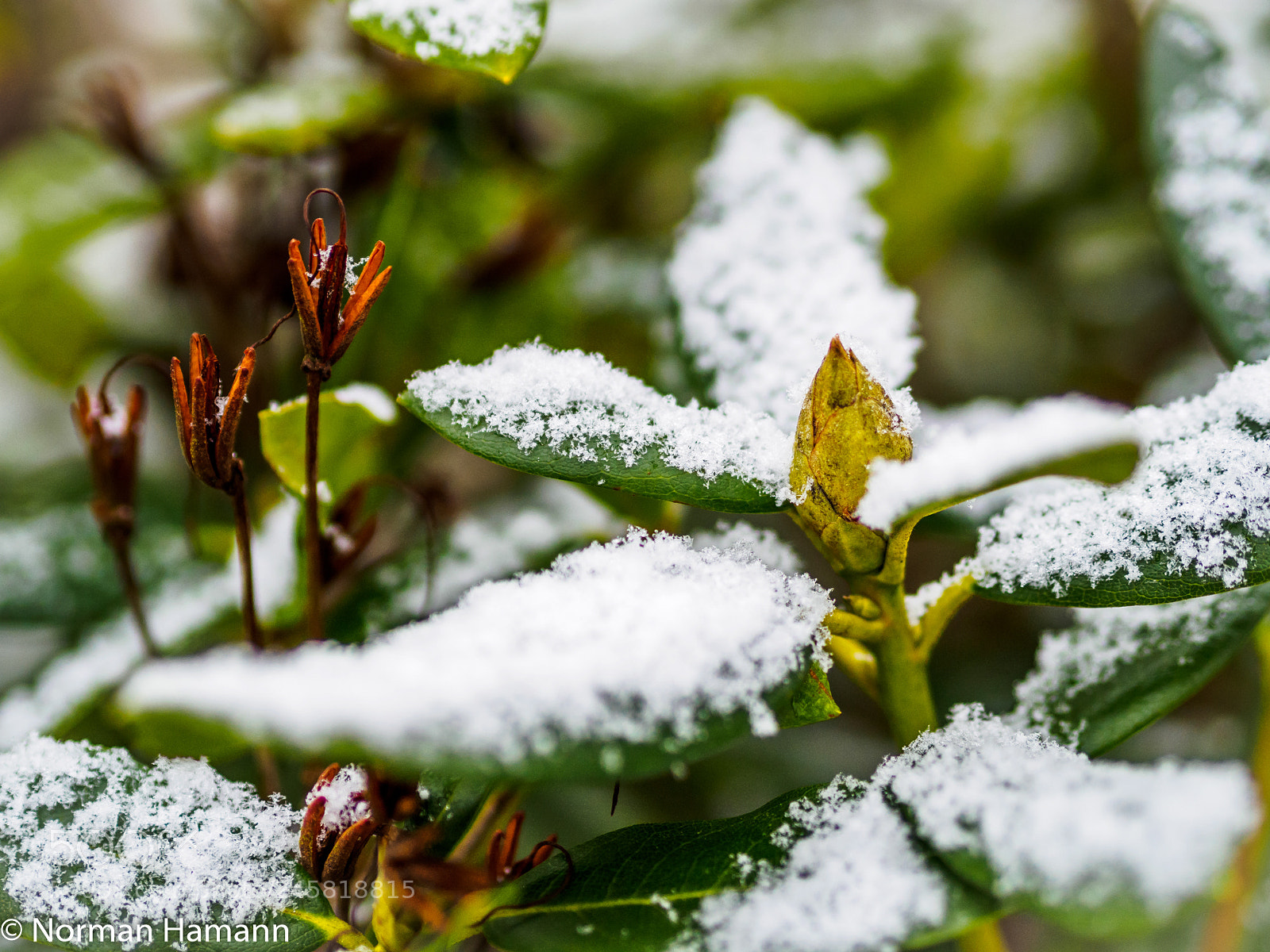 Olympus OM-D E-M5 II sample photo. Morning rise photography