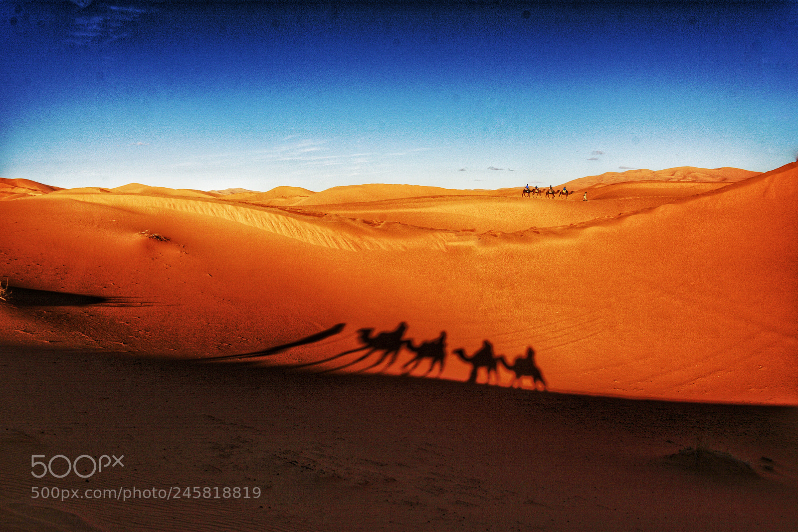 Nikon D7100 sample photo. Sahara photography