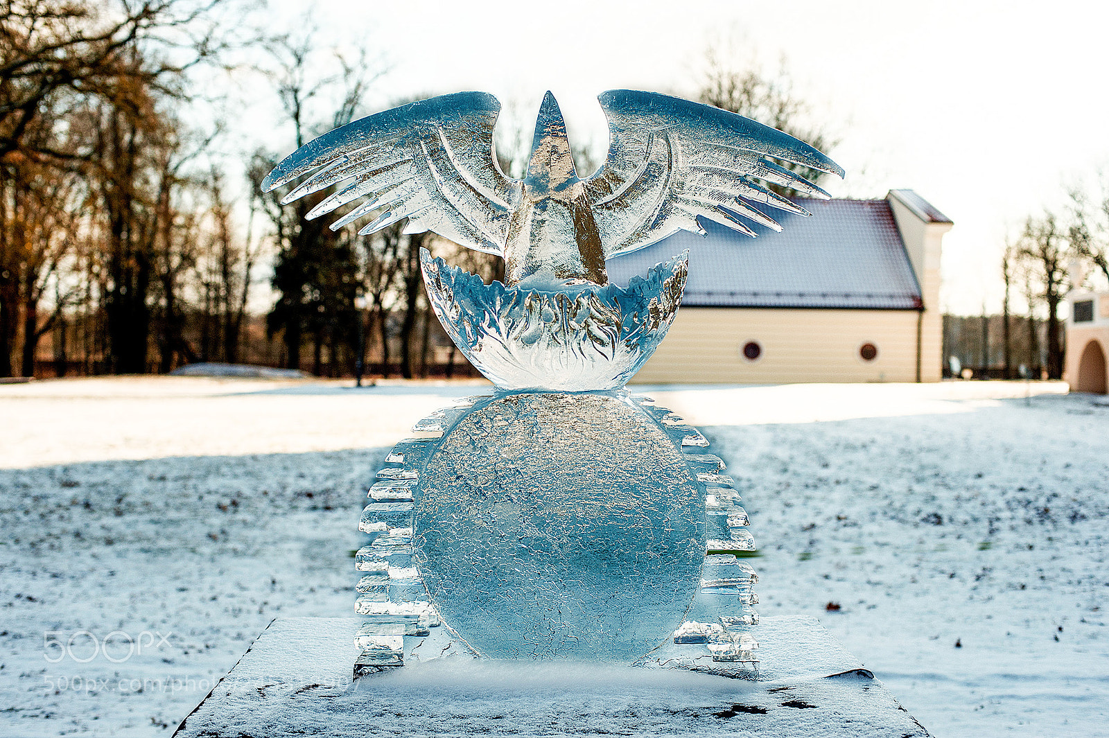 Nikon D3 sample photo. Ice sculpture photography