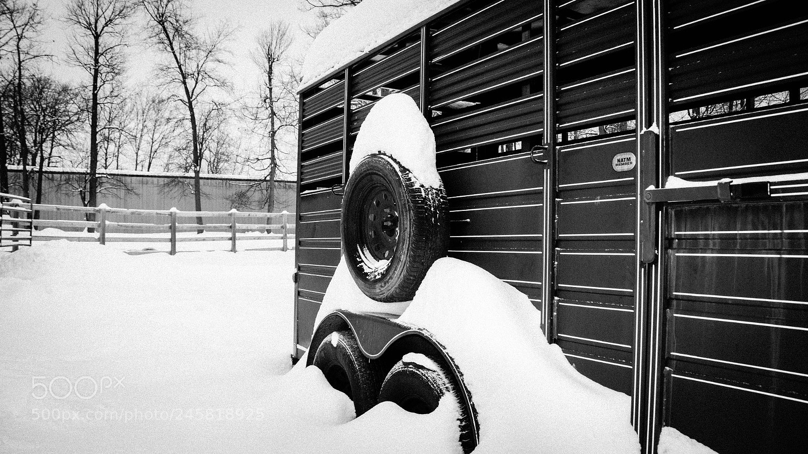 Nikon D5100 sample photo. Snowed in photography