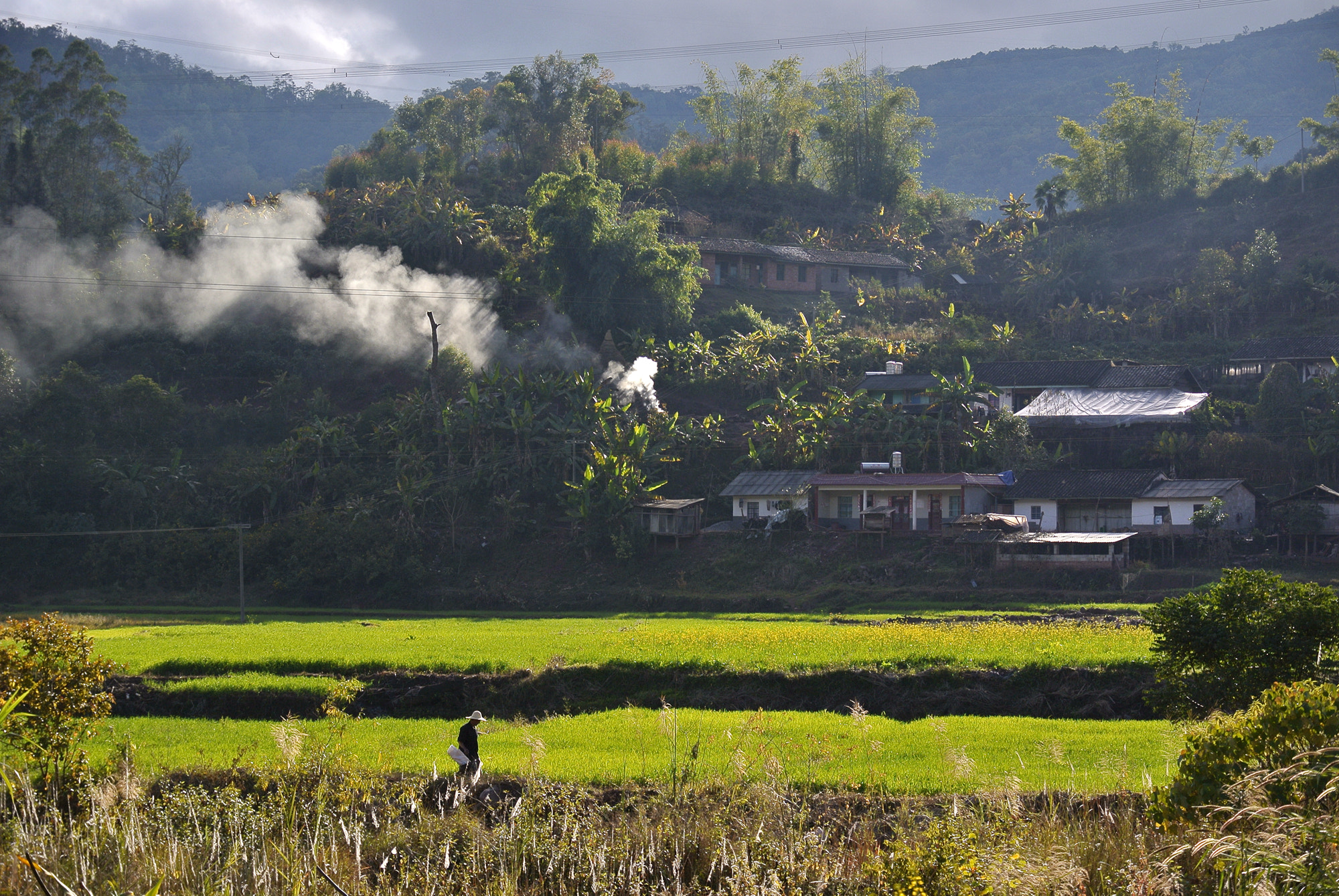 Nikon 1 J2 sample photo. 乡村 photography