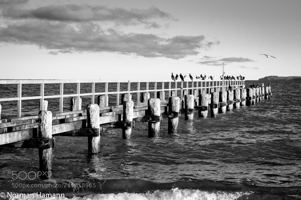 Olympus OM-D E-M5 II sample photo. Travemünde photography
