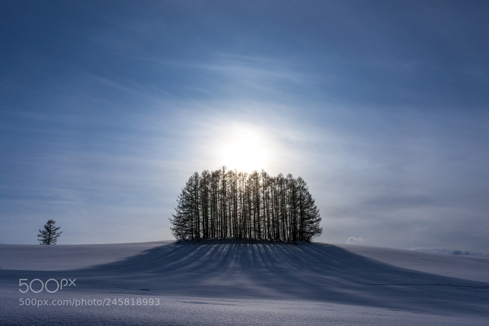 Sony Alpha DSLR-A900 sample photo. Winter sunset photography