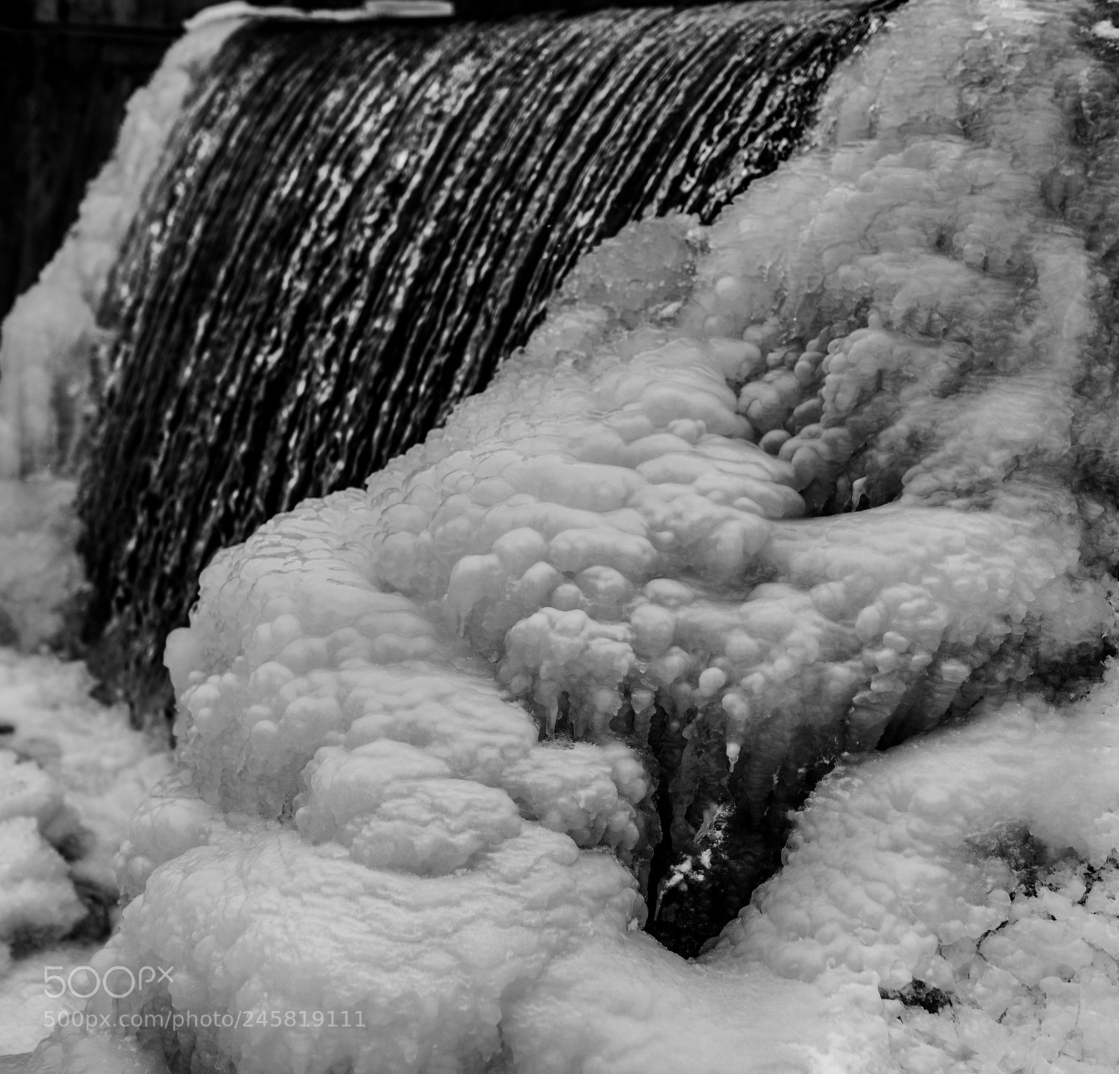 Nikon D850 sample photo. Frozen photography