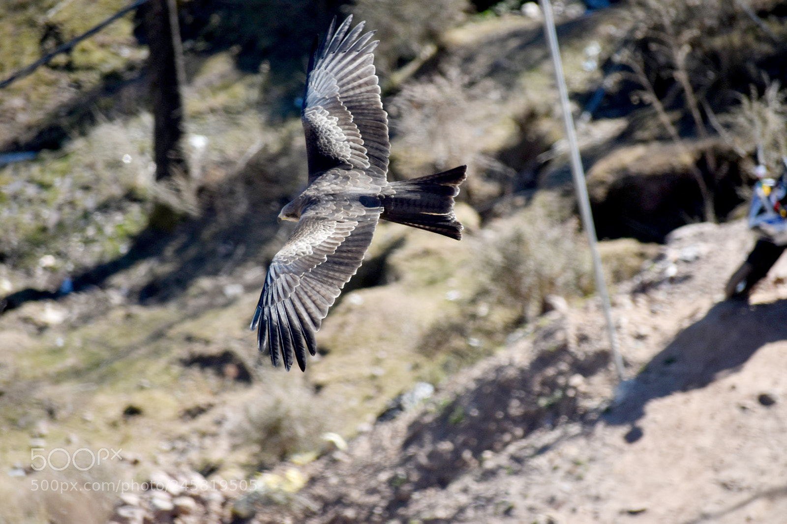 Nikon D3400 sample photo. Free spirit photography