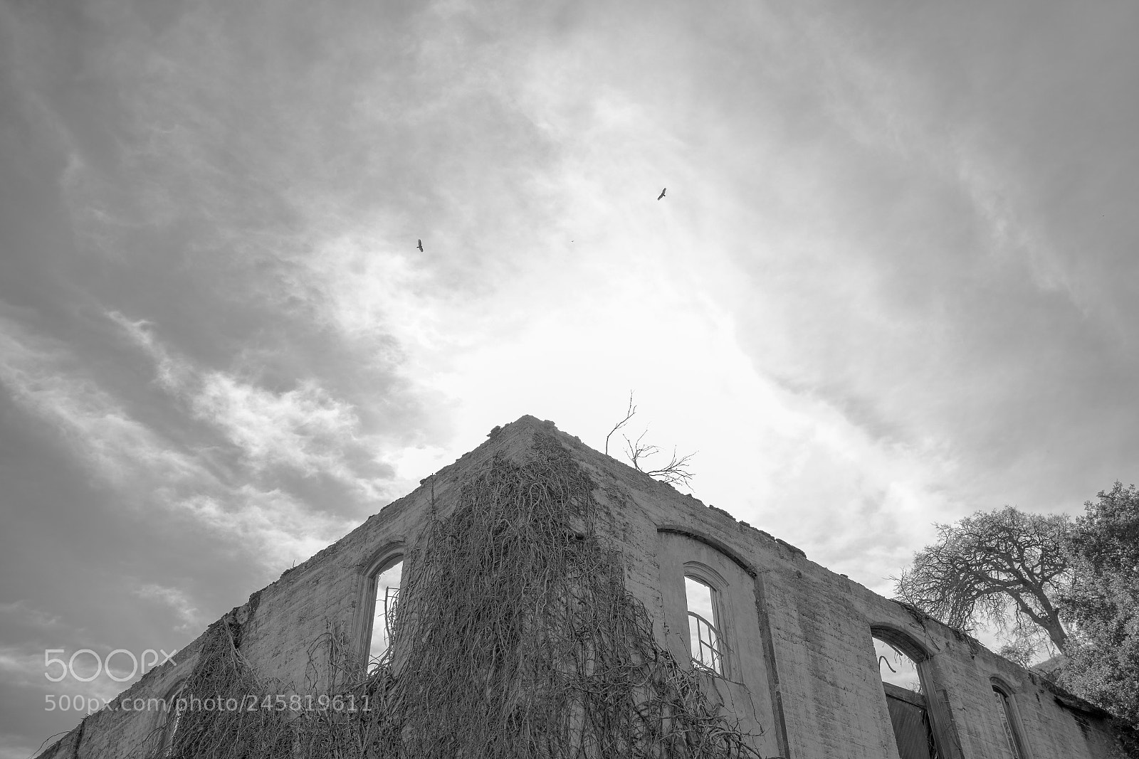 Canon EOS 6D Mark II sample photo. Dark castle photography