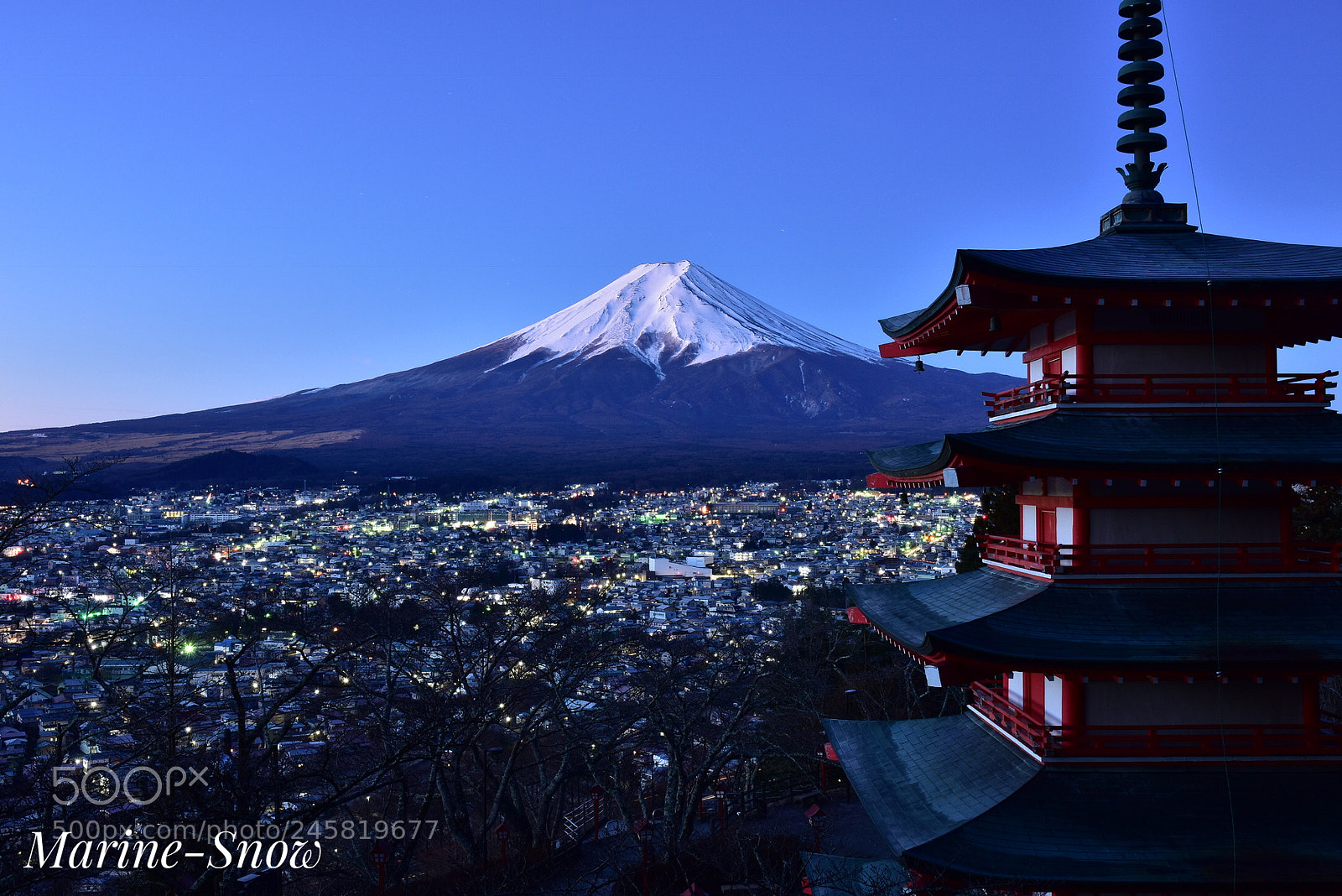 Nikon D7200 sample photo. Mt.fuji and five storied photography
